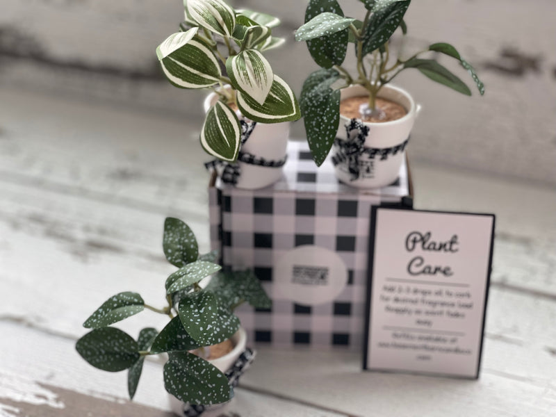 Mini Car Air Freshener