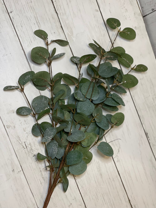 Glittered Eucalyptus Stem