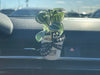Mini Car Air Freshener