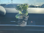 Mini Car Air Freshener