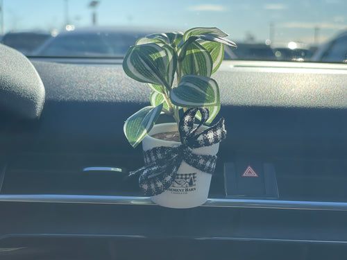 Mini Car Air Freshener